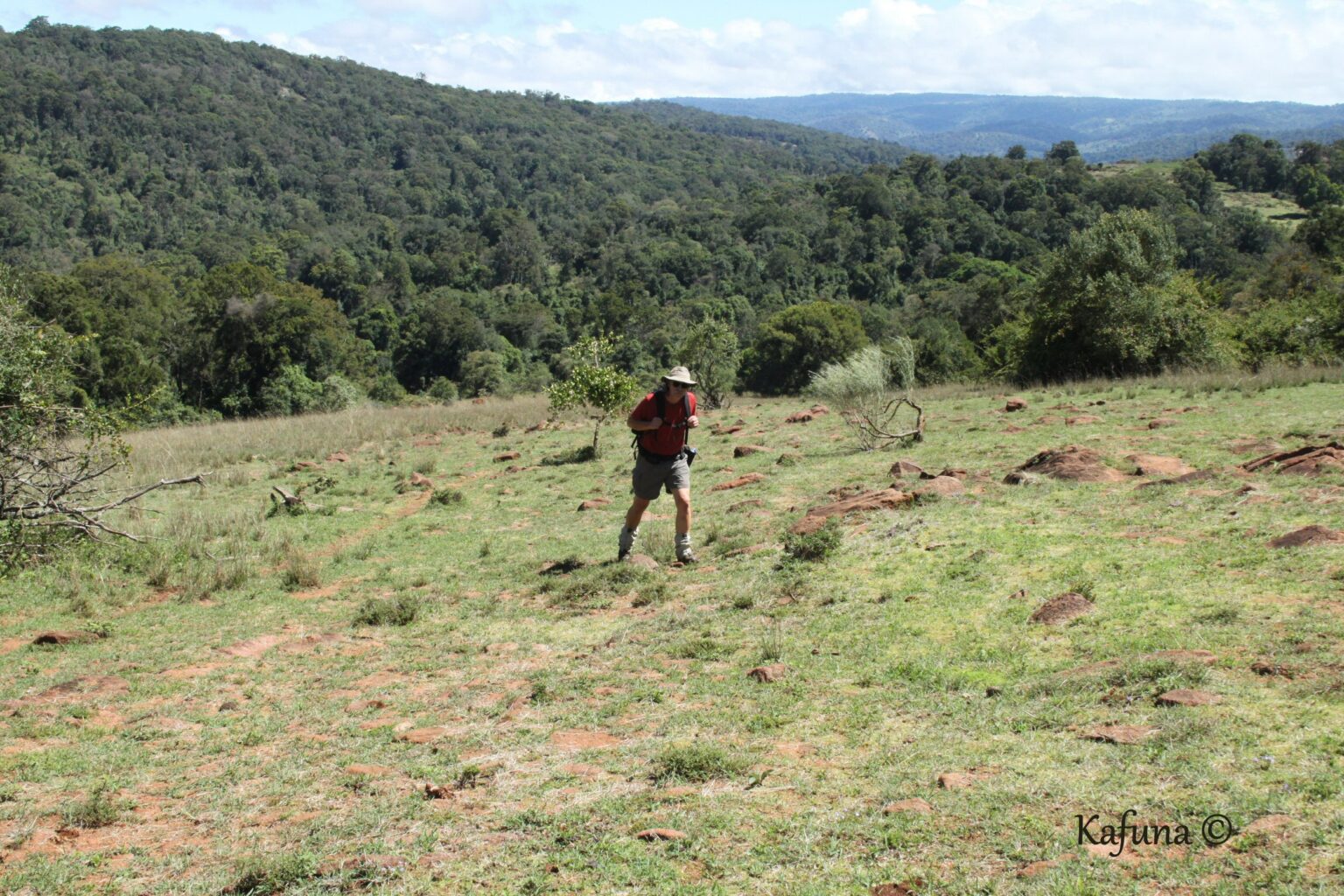 Kenya 2019 6025