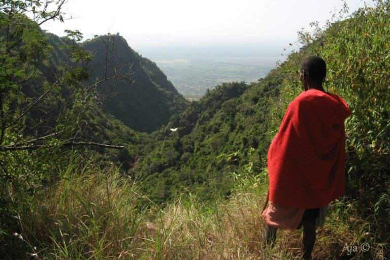 Kenya 2007 226
