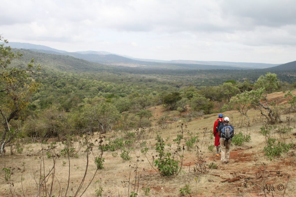Kenya 2018 2730