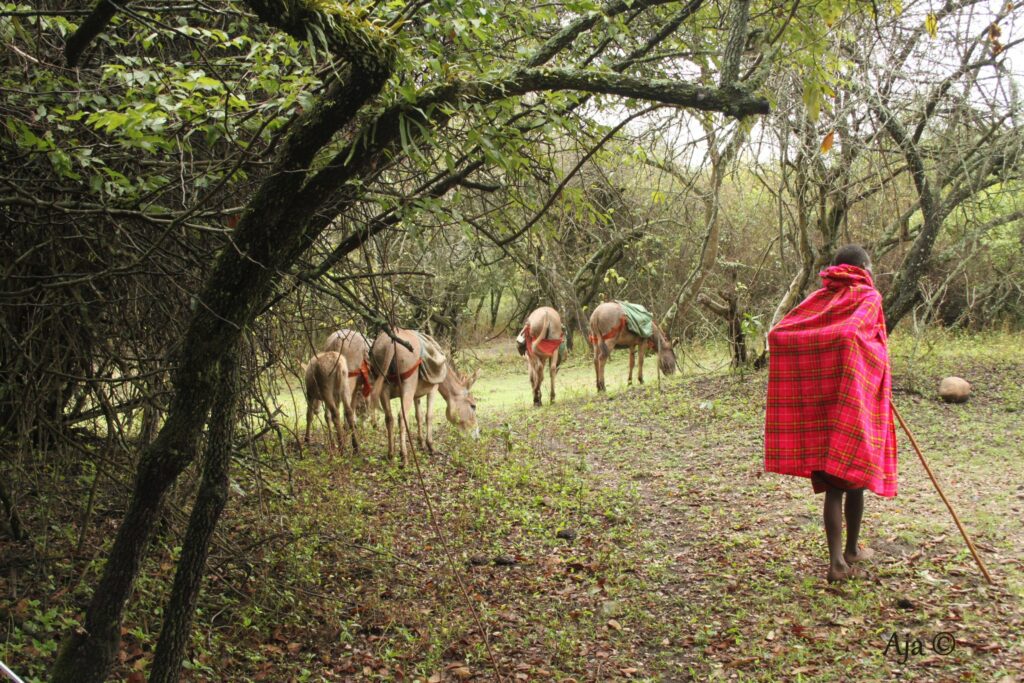 Kenya 2019 5741
