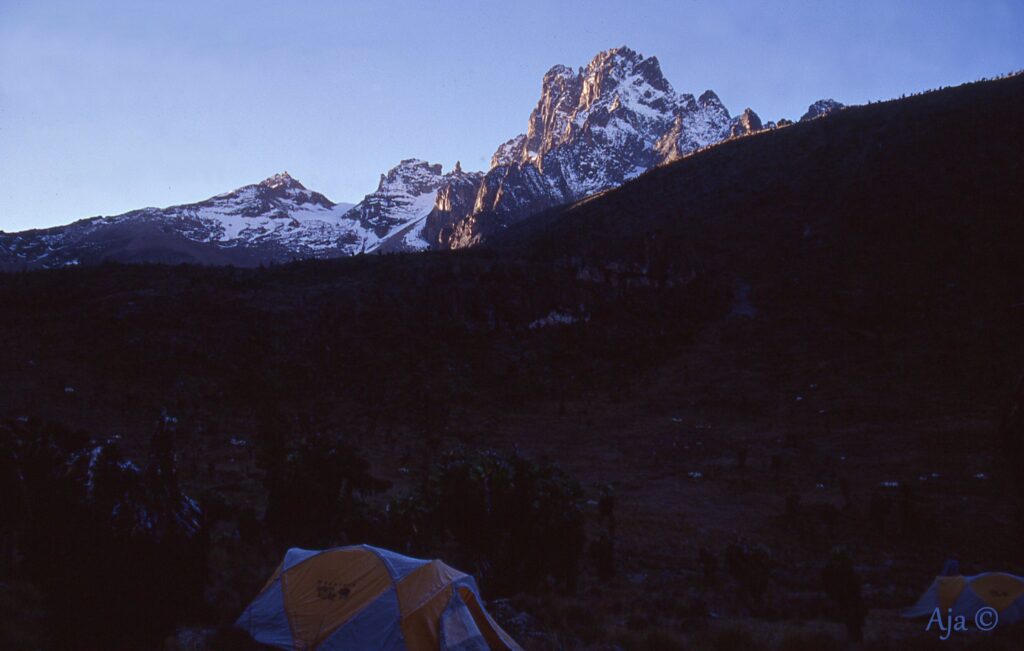 Kenya 2001 791n