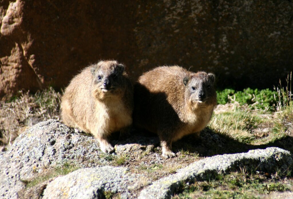 Kenya 2010 116